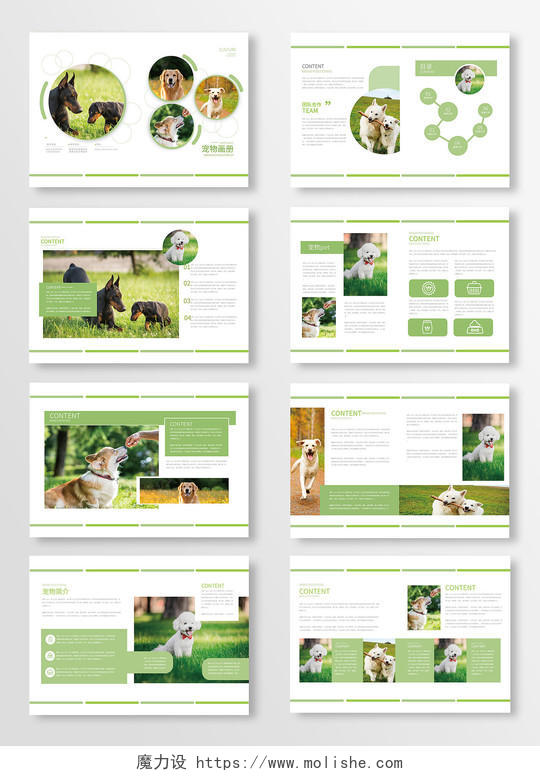 浅绿色创意简洁宠物画册整套设计画册模版